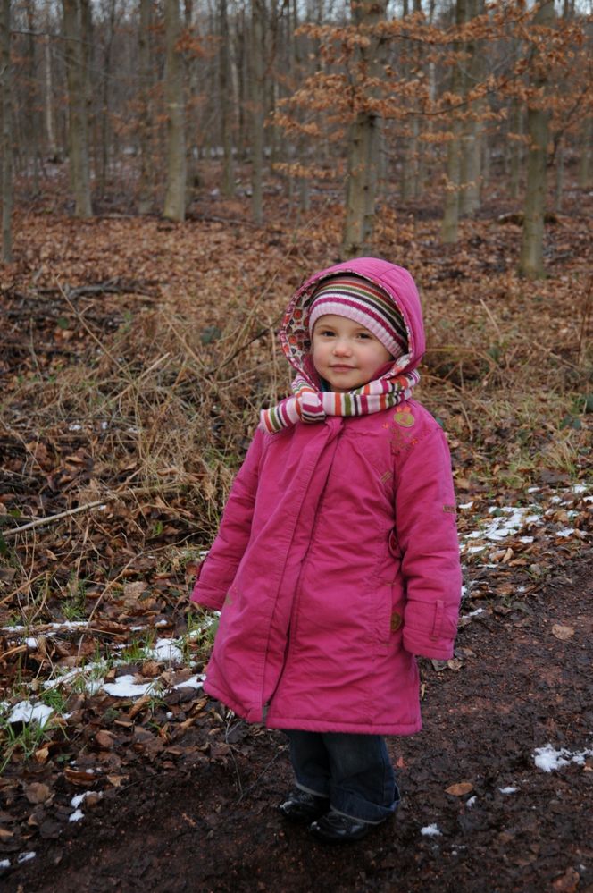 Promenade en foret