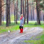 Promenade en forêt avec le chien