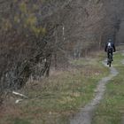 Promenade en forêt