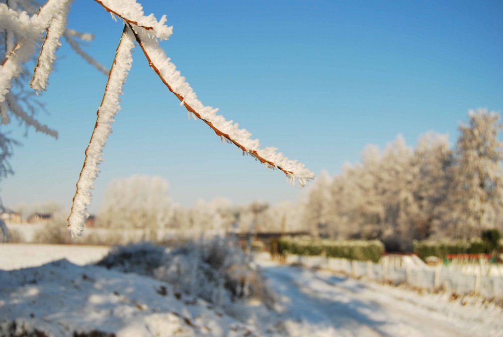 Promenade en hiver