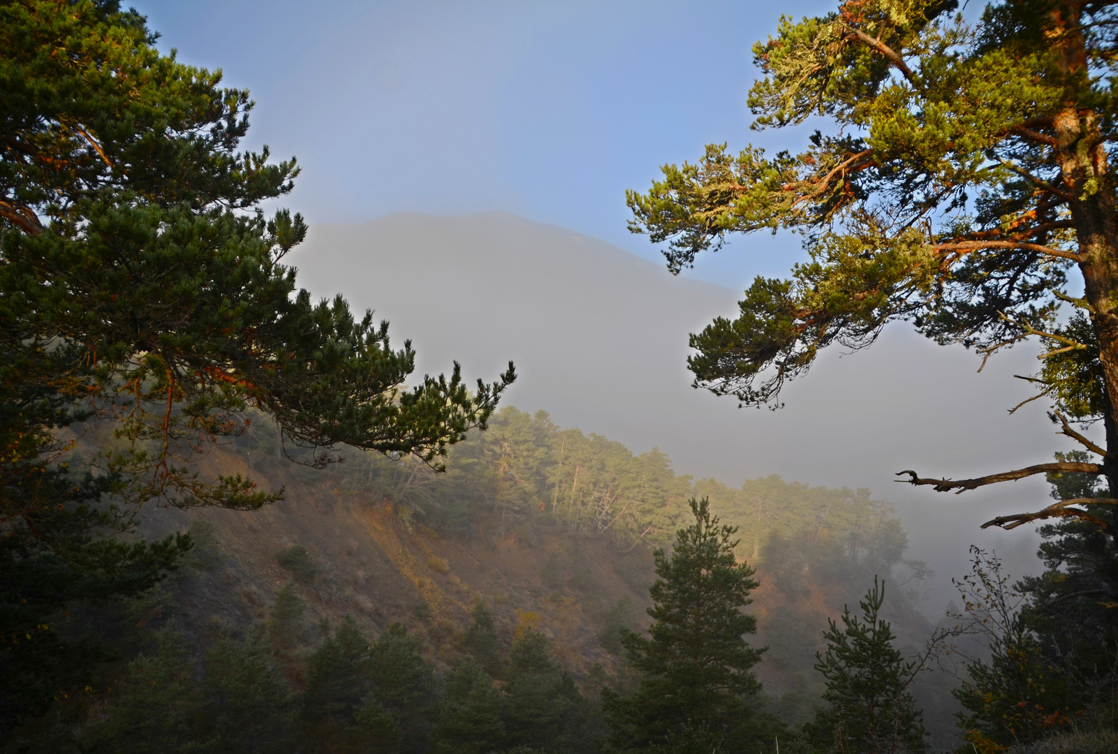 * promenade en montagne *