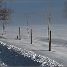 Promenade ''en'' neige