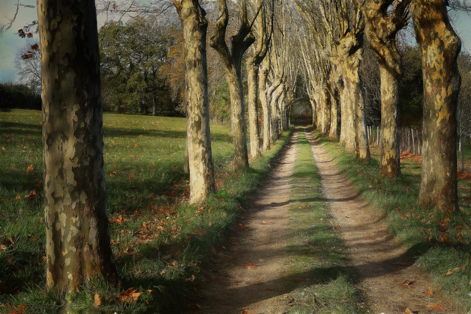 Promenade en Périgord