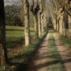 Promenade en Périgord