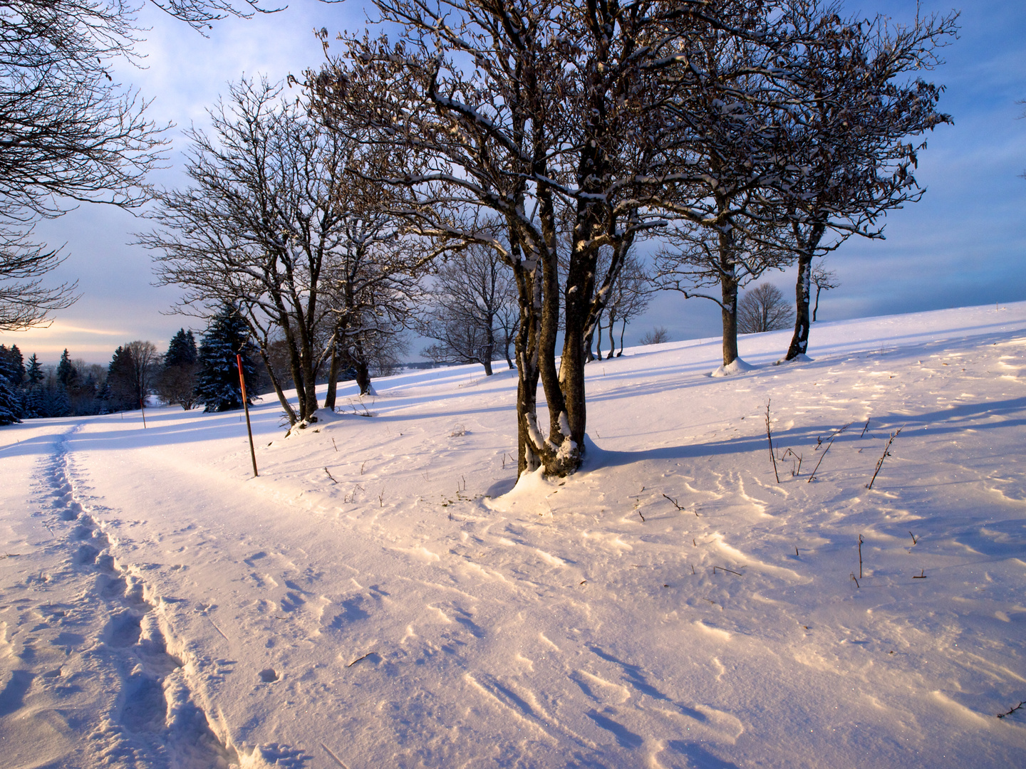 Promenade en raquettes à neige