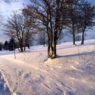 Promenade en raquettes à neige