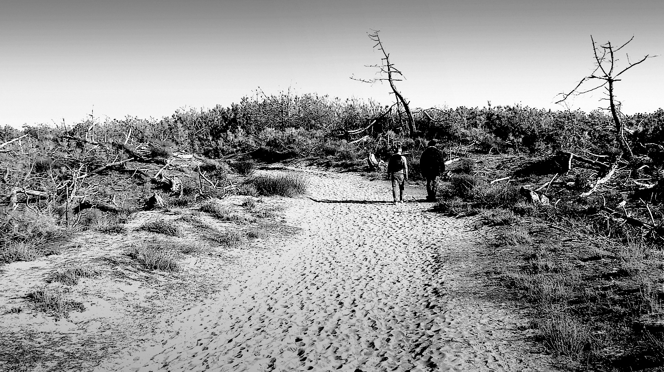 Promenade en silence