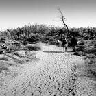 Promenade en silence