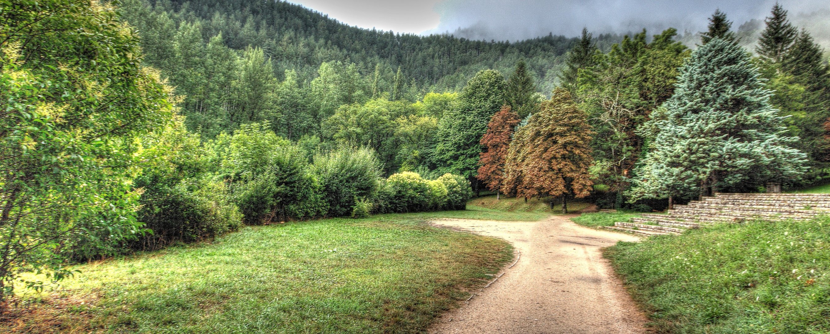 PROMENADE EN VERT