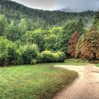 PROMENADE EN VERT