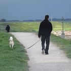 ..Promenade entre Mesnil val et le Tréport (76)..