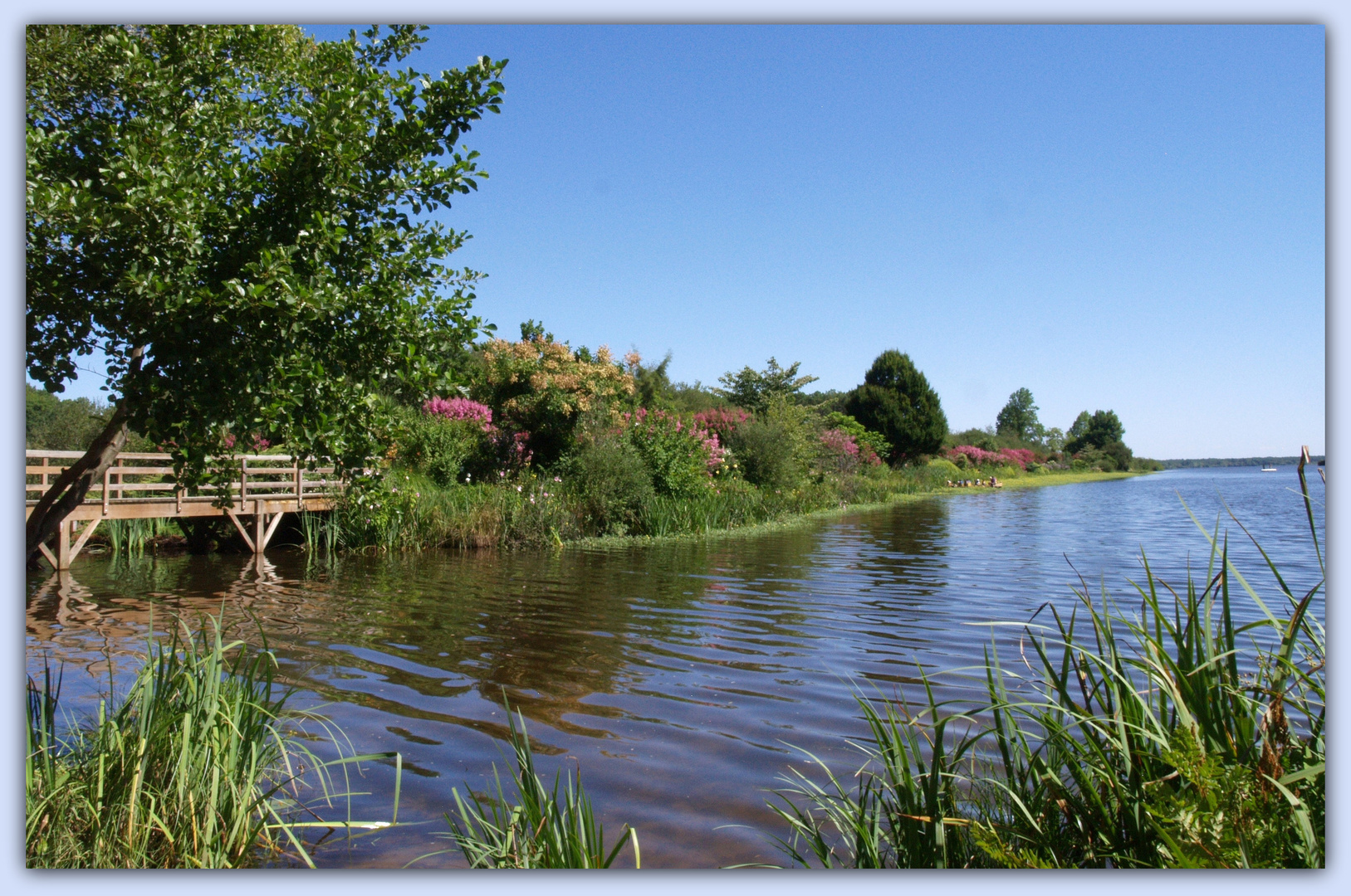 Promenade fleurie – Mimizan 11