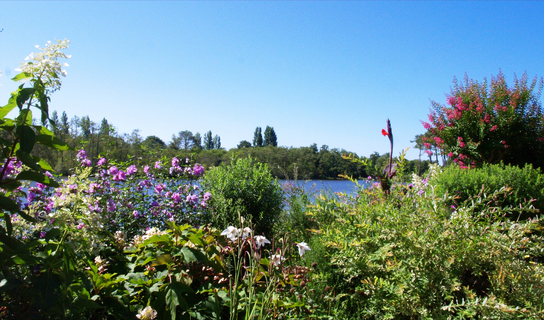 Promenade fleurie – Mimizan 16