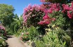 Promenade fleurie – Mimizan 4