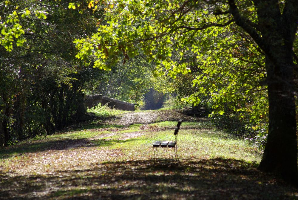 Promenade forestière