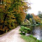 promenade forestière