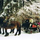 Promenade hivernale