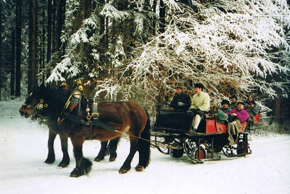 Promenade hivernale