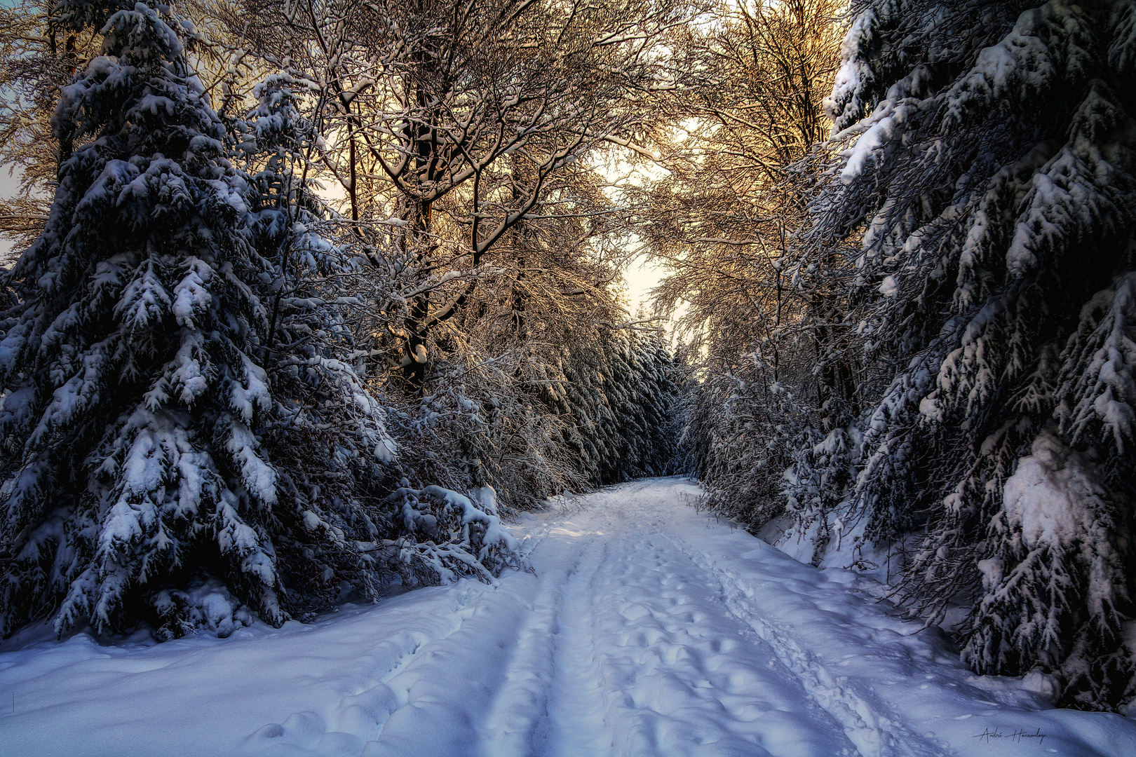 Promenade hivernale