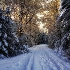 Promenade hivernale