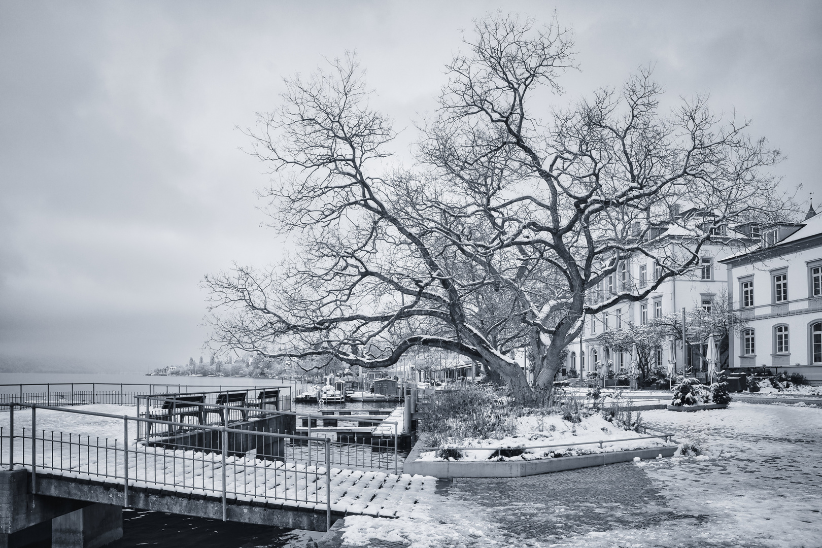 Promenade im Griff des Winters