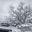 Promenade im Griff des Winters