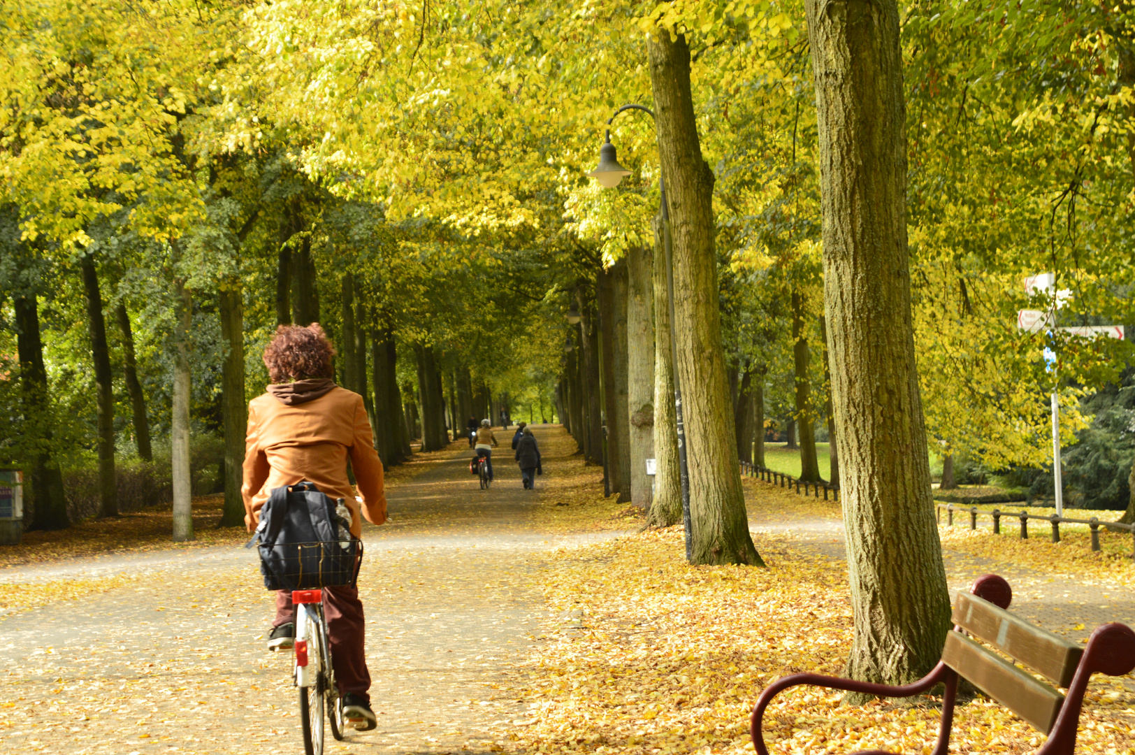 Promenade im Herbst