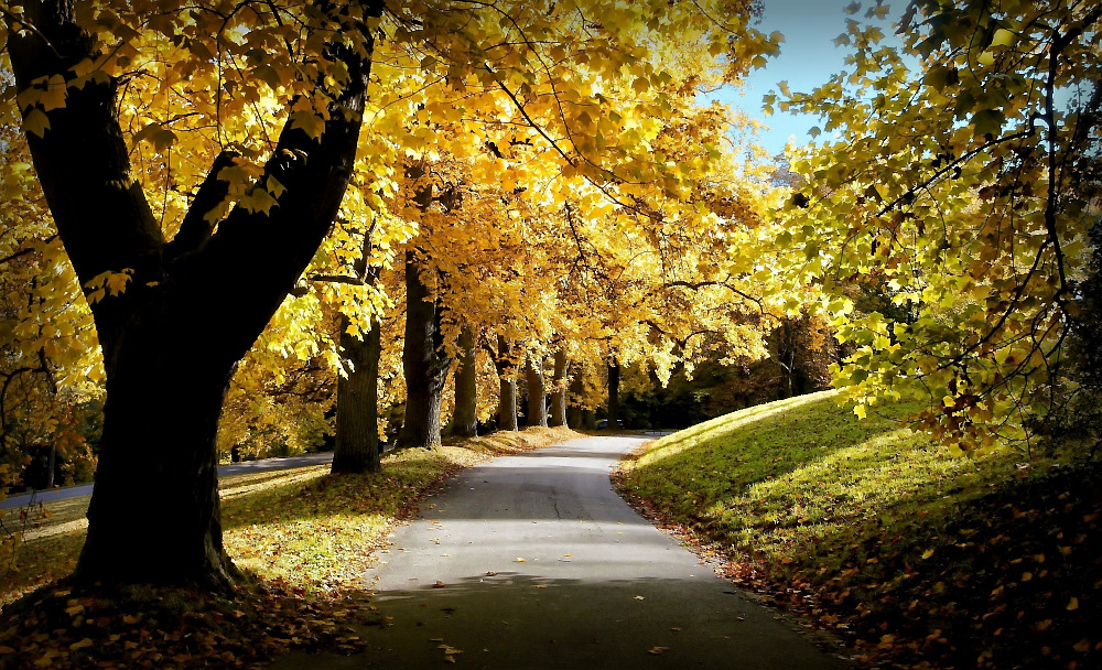 Promenade im Herbst