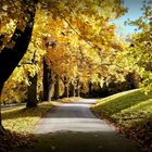 Promenade im Herbst