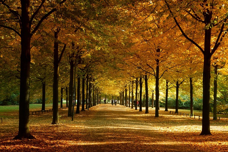 Promenade im Herbst / Farbenrausch