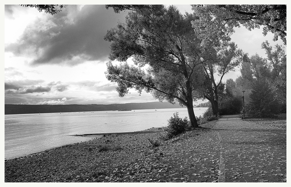 promenade im licht