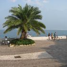 Promenade in Limone