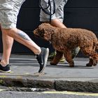 Promenade in London