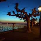 Promenade in Meersburg am Bodensee