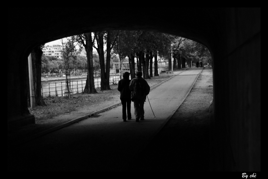 Promenade le long de la berge...