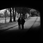 Promenade le long de la berge...