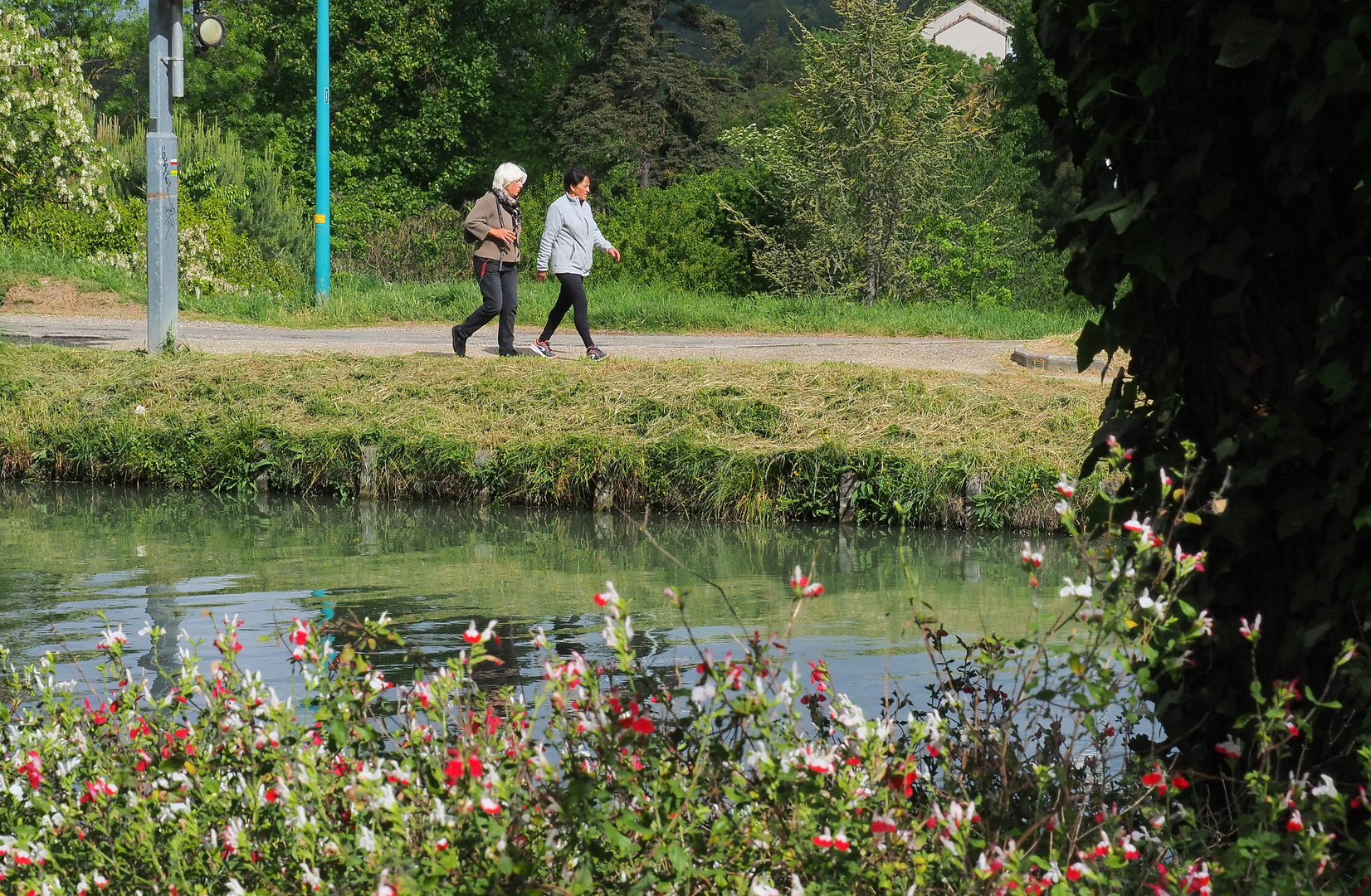 Promenade le long du canal latéral de la Garonne