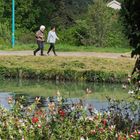 Promenade le long du canal latéral de la Garonne