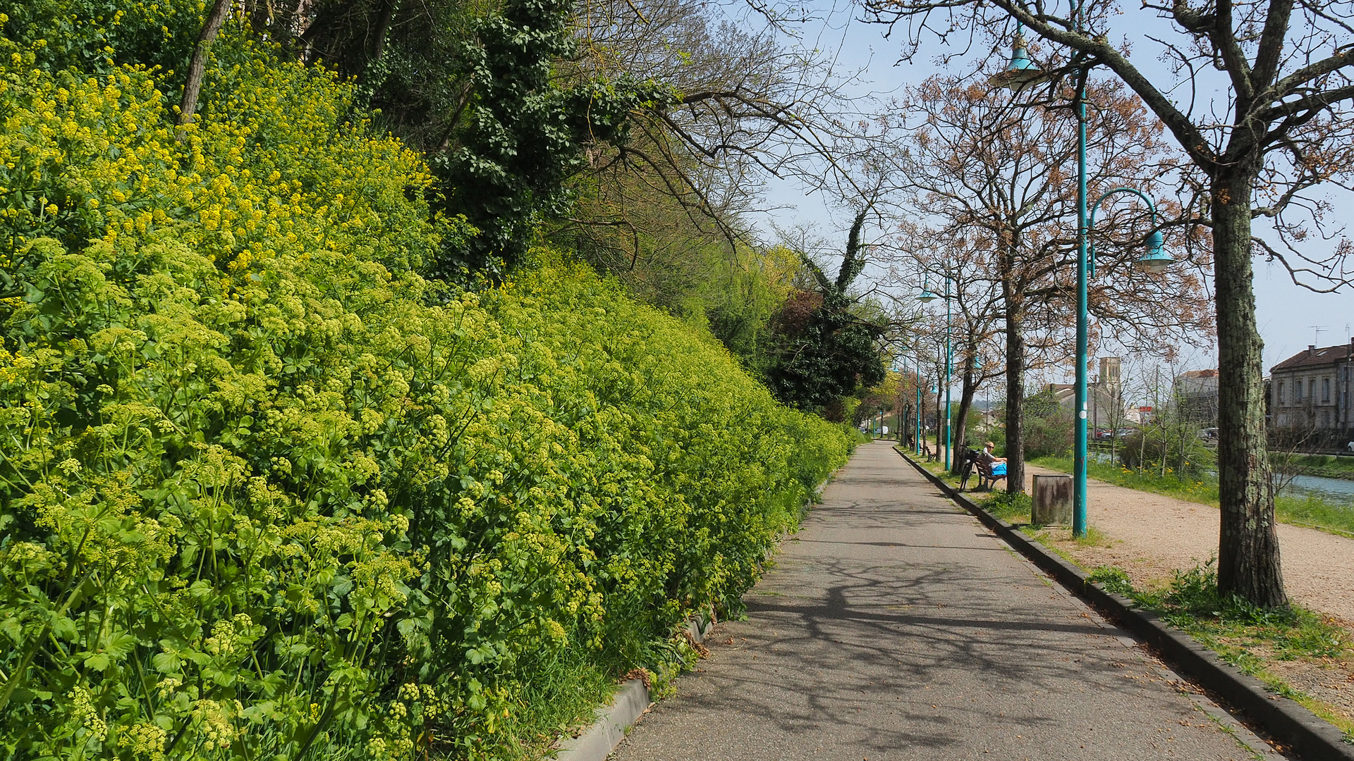 Promenade le long du canal latéral de la Garonne