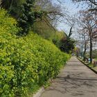 Promenade le long du canal latéral de la Garonne