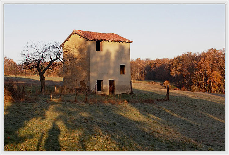 promenade matinale