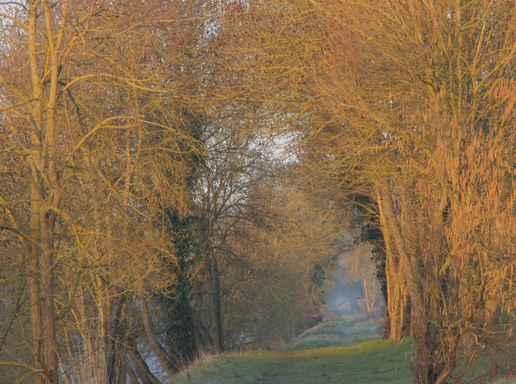 promenade matinale 4