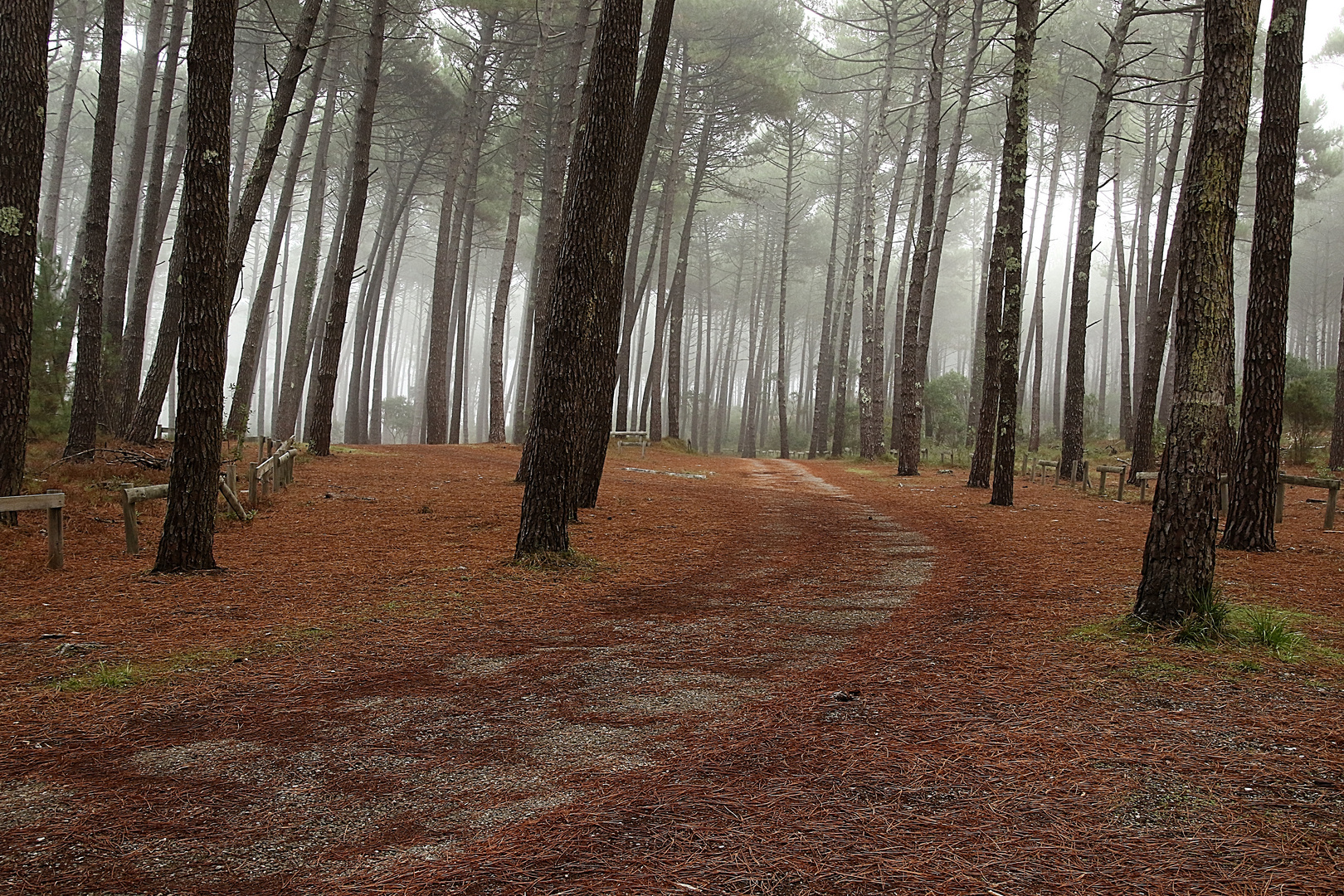 promenade matinale !