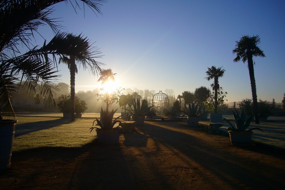 promenade matinale