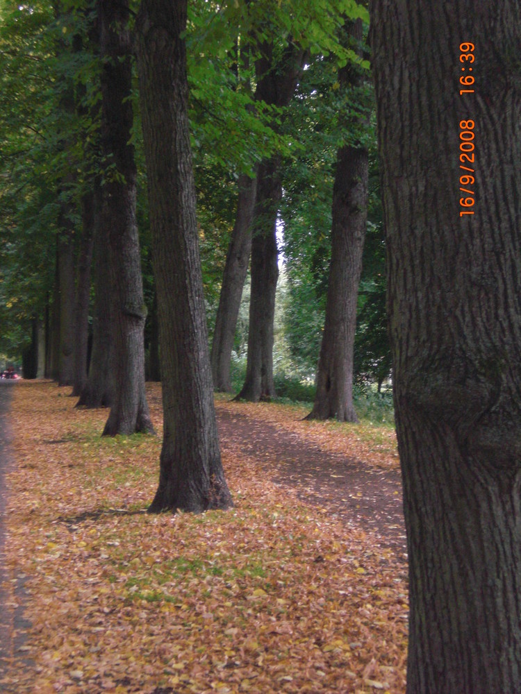 Promenade Münster