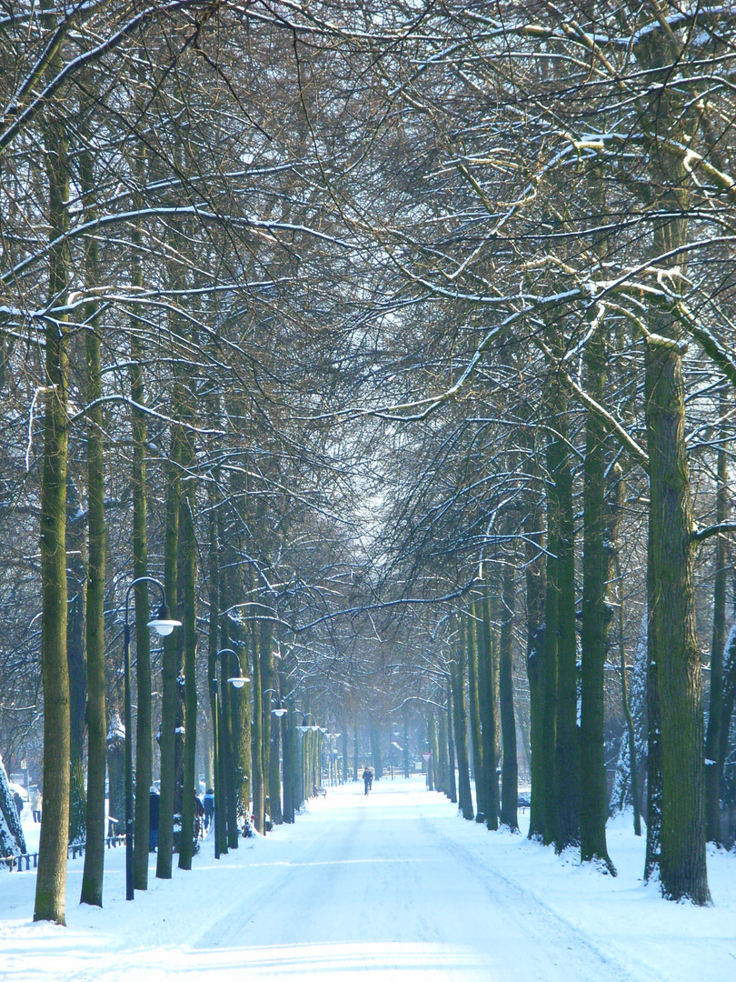 Promenade Münster im Januar 2010