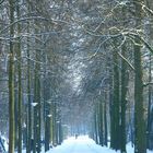 Promenade Münster im Januar 2010