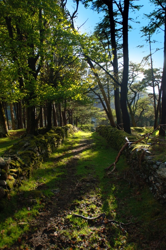 Promenade nostalgique