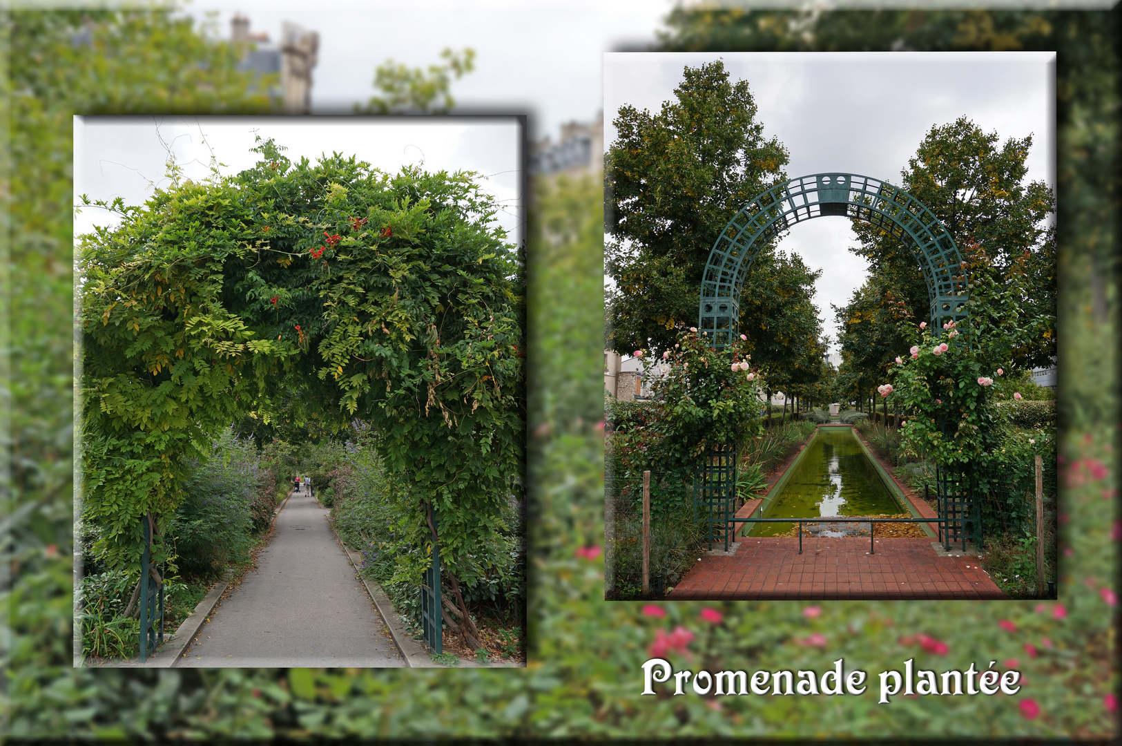 Promenade plantée