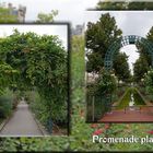 Promenade plantée